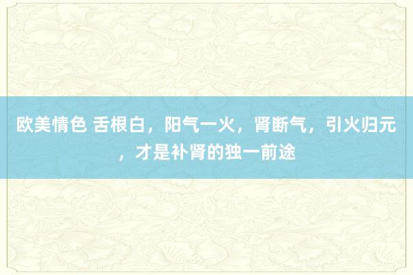 欧美情色 舌根白，阳气一火，肾断气，引火归元，才是补肾的独一前途
