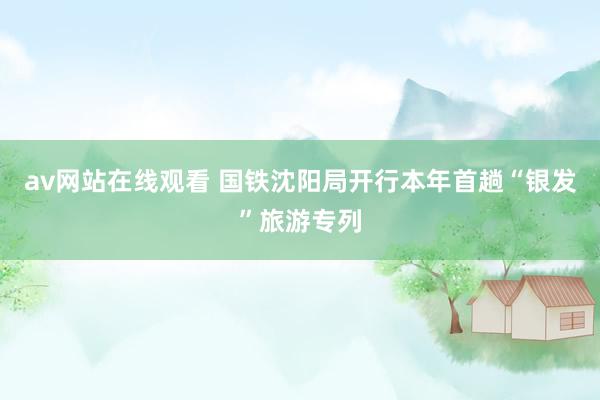 av网站在线观看 国铁沈阳局开行本年首趟“银发”旅游专列