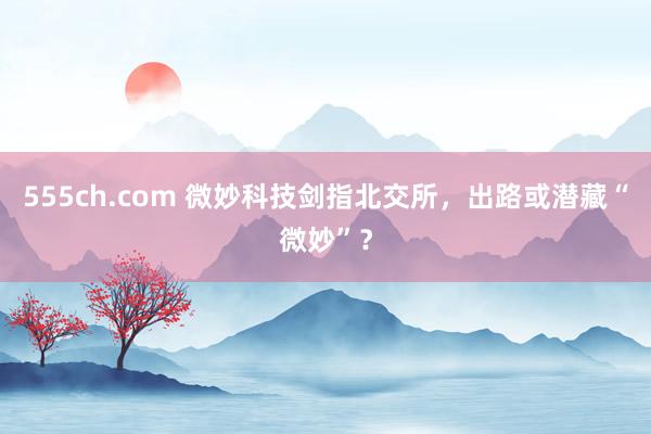 555ch.com 微妙科技剑指北交所，出路或潜藏“微妙”？