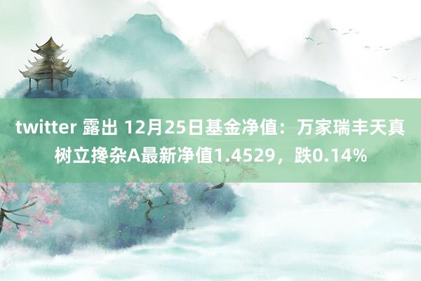 twitter 露出 12月25日基金净值：万家瑞丰天真树立搀杂A最新净值1.4529，跌0.14%