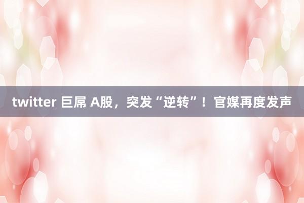 twitter 巨屌 A股，突发“逆转”！官媒再度发声