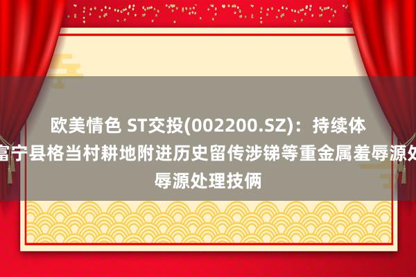 欧美情色 ST交投(002200.SZ)：持续体预中标富宁县格当村耕地附进历史留传涉锑等重金属羞辱源处理技俩