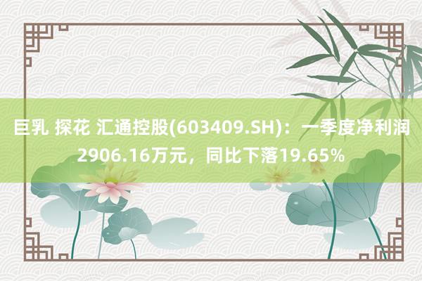 巨乳 探花 汇通控股(603409.SH)：一季度净利润2906.16万元，同比下落19.65%